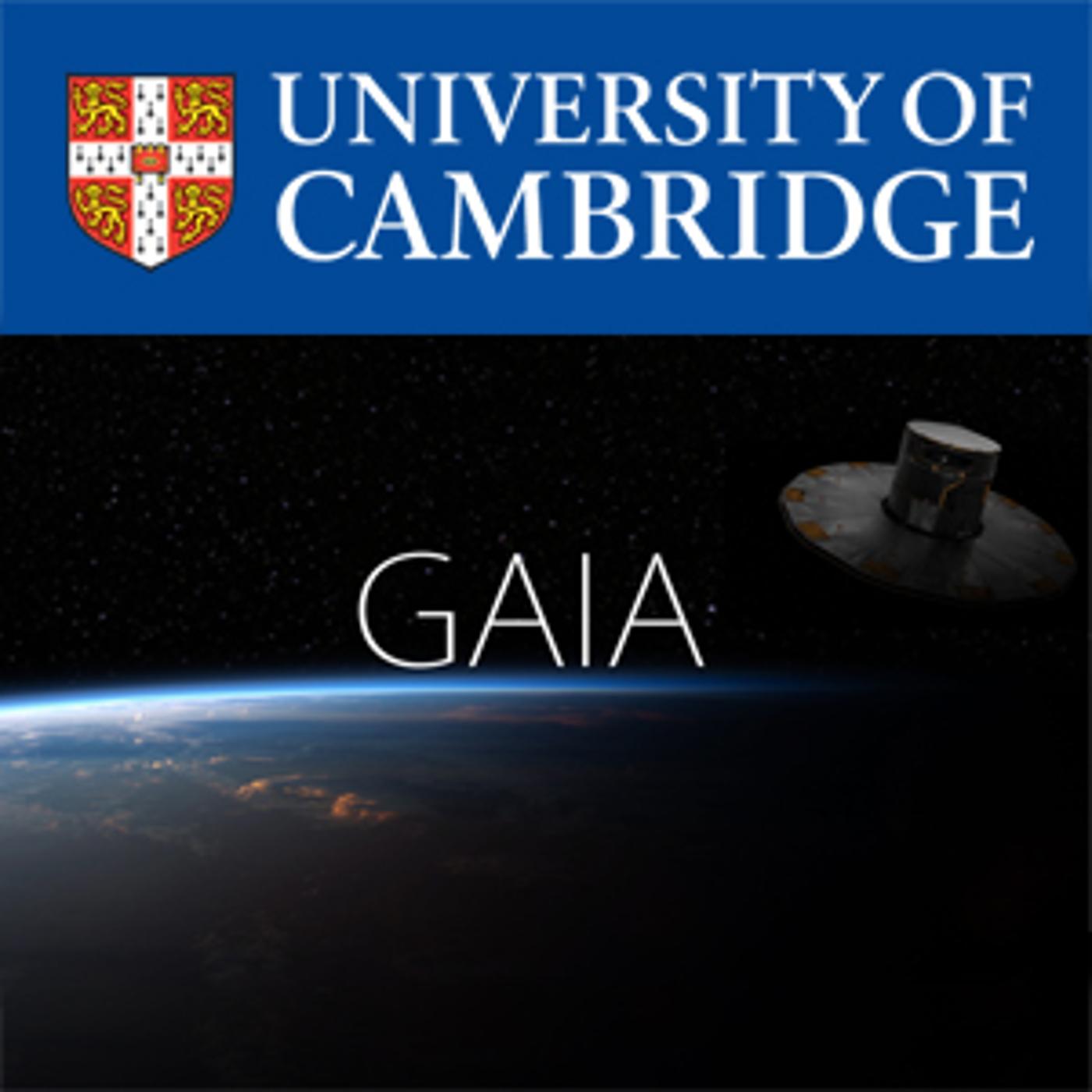 Gaia's mission: solving the celestial puzzle